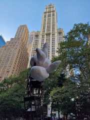 NY_01-3-54