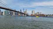 NY_04-39