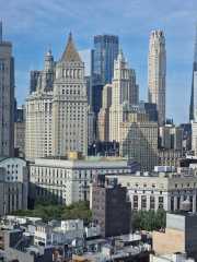 NY_05-6