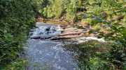 Porcupine_River-38
