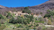 Asclier_24_03-10