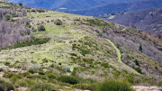 Asclier_24_03-102