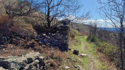 Asclier_24_03-106