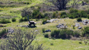 Asclier_24_03-109