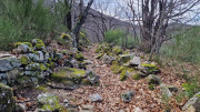 Asclier_24_03-11