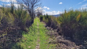 Asclier_24_03-113