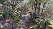 Asclier_24_03-117