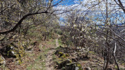 Asclier_24_03-119