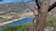Asclier_24_03-12