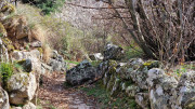 Asclier_24_03-121