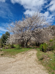 Asclier_24_03-123