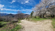 Asclier_24_03-124