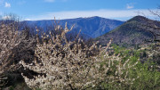 Asclier_24_03-126