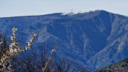 Asclier_24_03-127