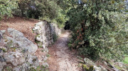 Asclier_24_03-131
