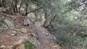 Asclier_24_03-134