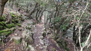 Asclier_24_03-135