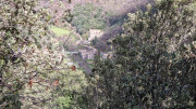 Asclier_24_03-136