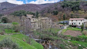 Asclier_24_03-142