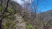 Asclier_24_03-15