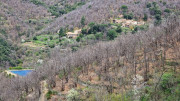 Asclier_24_03-16