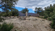 Asclier_24_03-21