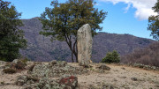 Asclier_24_03-22