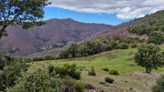 Asclier_24_03-23