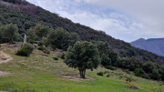 Asclier_24_03-24