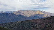 Asclier_24_03-26