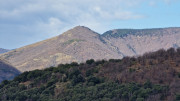 Asclier_24_03-29