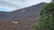 Asclier_24_03-30