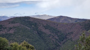 Asclier_24_03-32