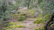 Asclier_24_03-35