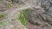 Asclier_24_03-37