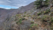 Asclier_24_03-38