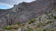 Asclier_24_03-39