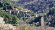 Asclier_24_03-4