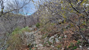 Asclier_24_03-44