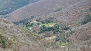 Asclier_24_03-46