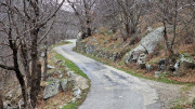 Asclier_24_03-49