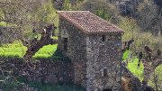Asclier_24_03-5