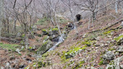 Asclier_24_03-52