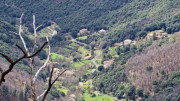 Asclier_24_03-54