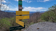 Asclier_24_03-59