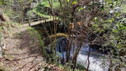 Asclier_24_03-6