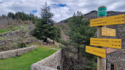 Asclier_24_03-61