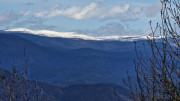 Asclier_24_03-63