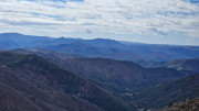 Asclier_24_03-67