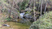 Asclier_24_03-7